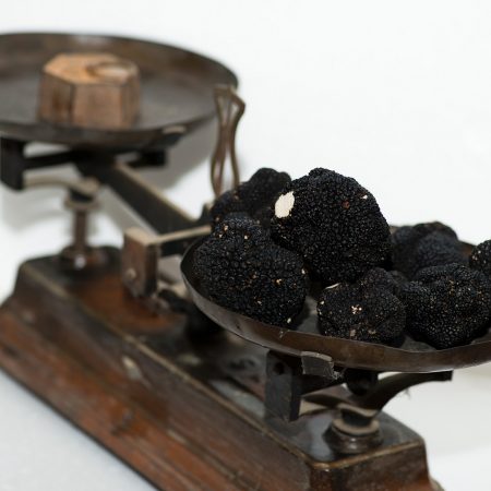 Brisure de truffe noire (Melanosporum) - Sobema Distribution