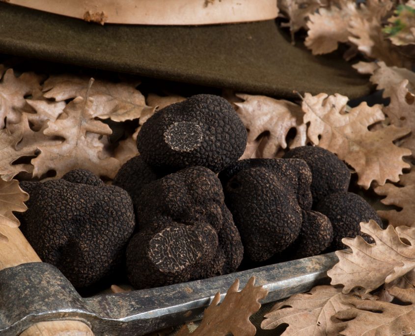 Truffes-fraiches-La-Truffe-du-Ventoux-ve